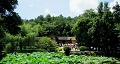 長沙出發(fā)到花明樓、韶山、張家界國家森林公園、天門仙山國家森林公園四日游